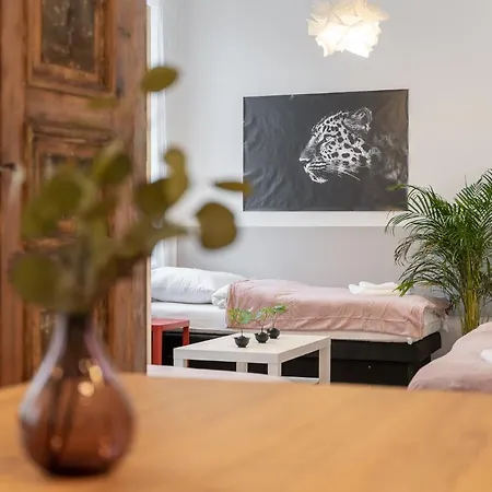 Kamienica Centrum Nr 9 شقة شتشيتسين